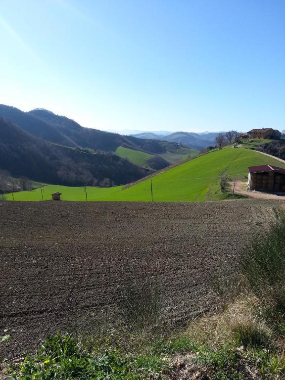 Girfalco Country House Bed and Breakfast Urbino Exterior foto
